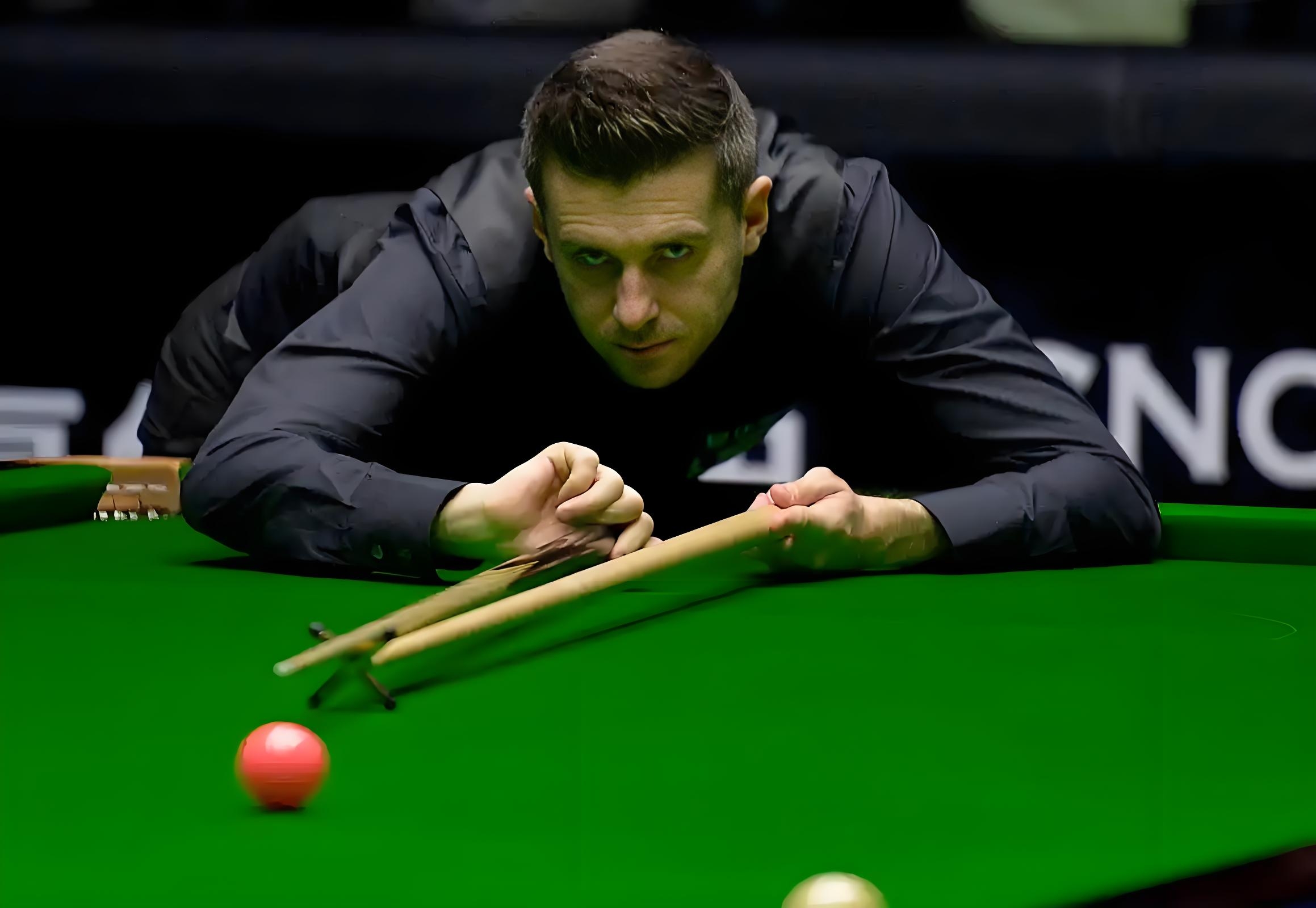 自然嵌入 自然嵌入